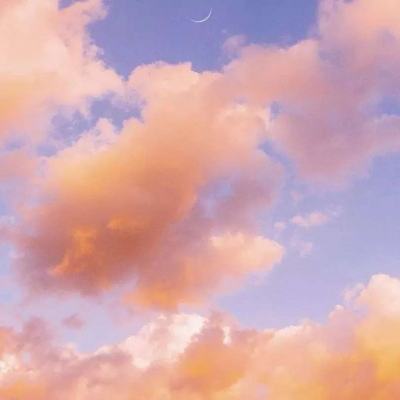 狗冠体育苹果版